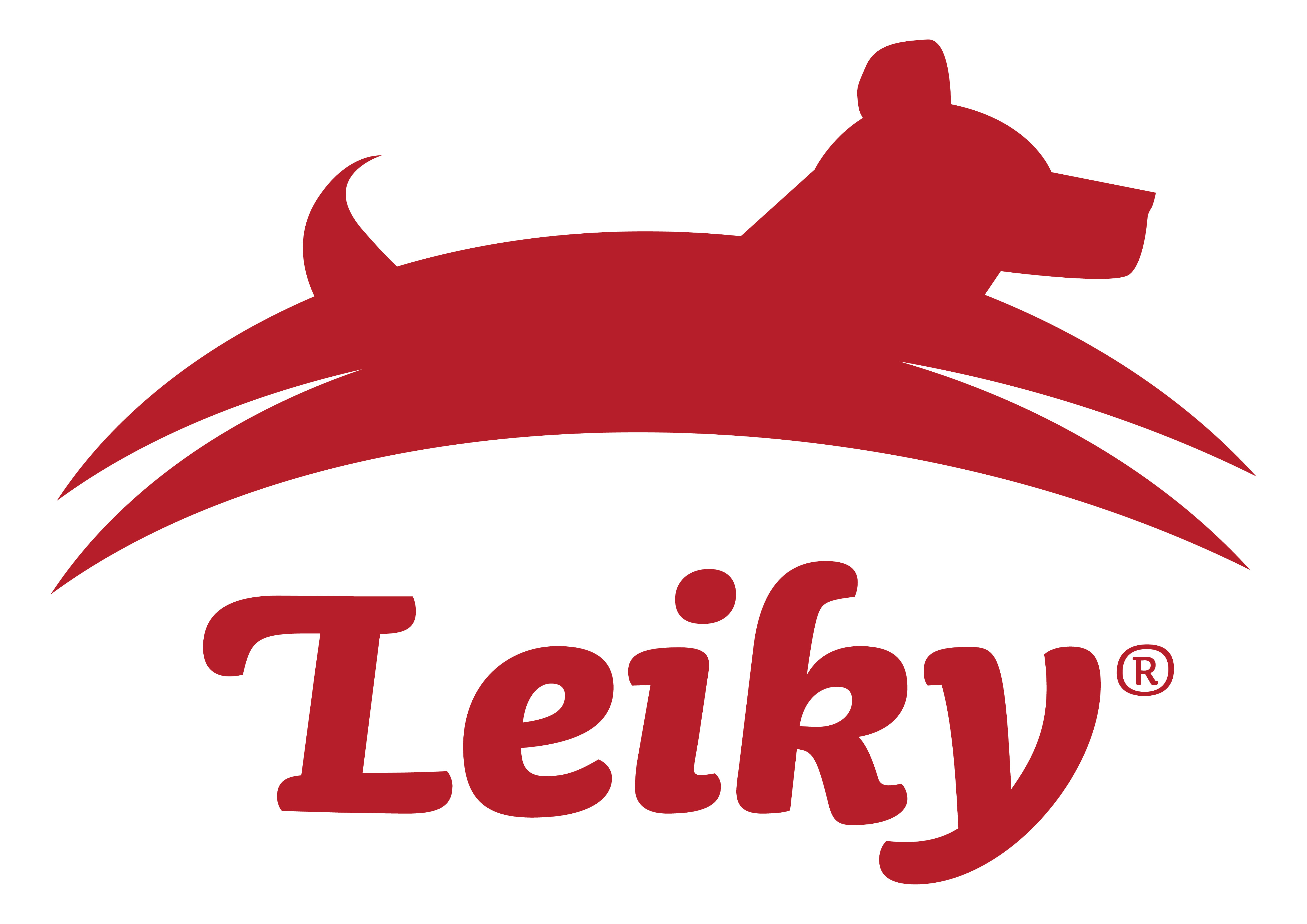 Leiky_Logo_TM_gross.jpg