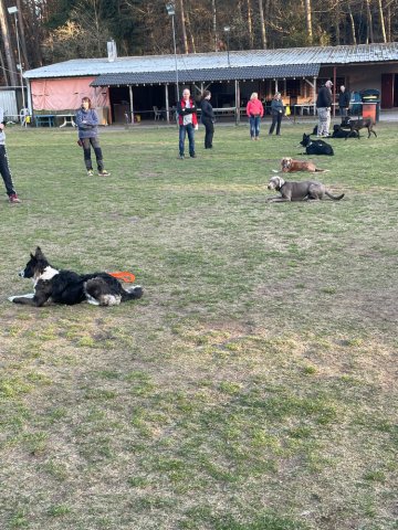 training_april_2022_10_20220405_1933598577