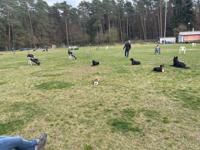 training_april_2022_2_20220405_1984207546
