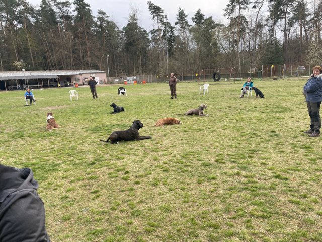 training_april_2022_3_20220405_1397414226