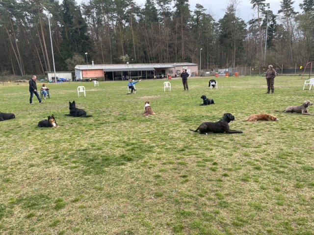 training_april_2022_4_20220405_1060612000