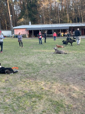 training_april_2022_7_20220405_1896655662
