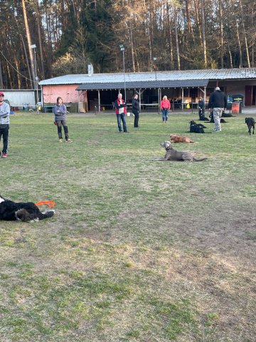 training_april_2022_8_20220405_1980214460
