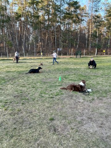training_april_2022_9_20220405_1385691641