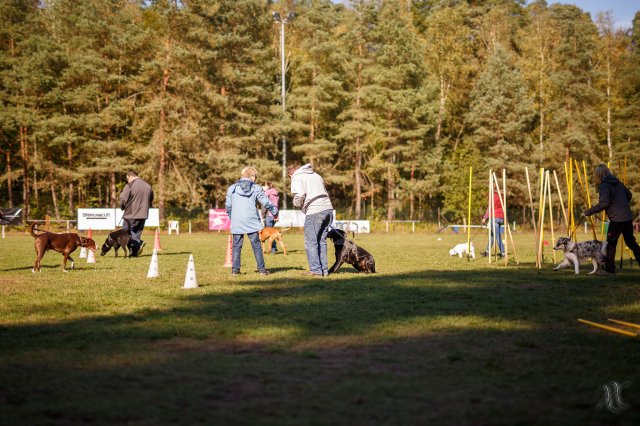 trainingsaltag_10_20161025_2075199782