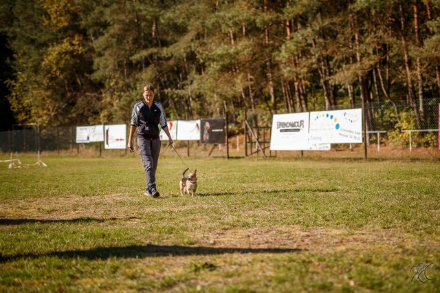 trainingsaltag_11_20161025_1394781111