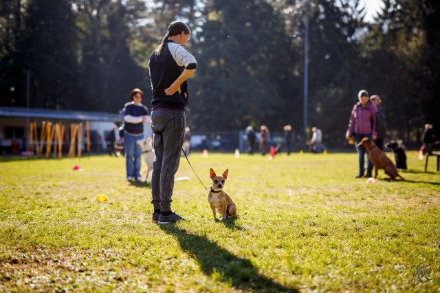 trainingsaltag_12_20161025_1344343474