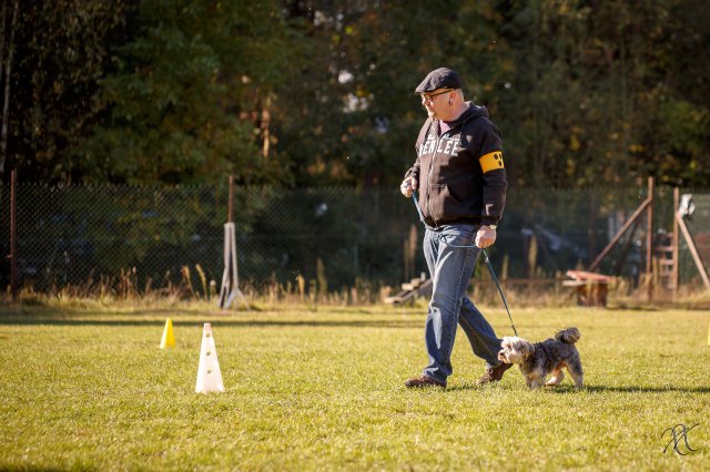 trainingsaltag_3_20161025_1966156713
