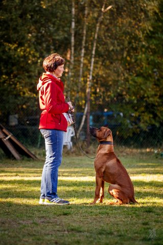 trainingsaltag_4_20161025_1096508950