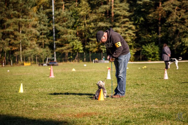 trainingsaltag_6_20161025_1150654058