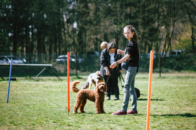 trickdog_-_bauch_beine_po_10_20170410_1718460327