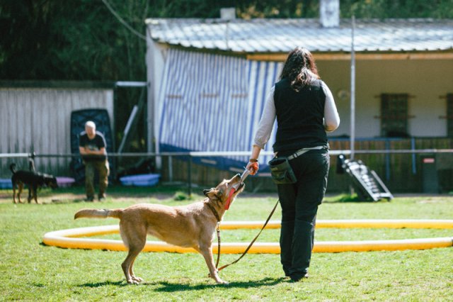 trickdog_-_bauch_beine_po_12_20170410_1863590590
