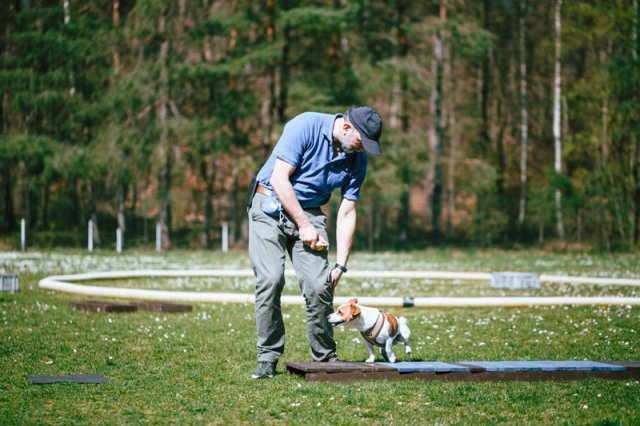 trickdog_-_bauch_beine_po_13_20170410_1115804812