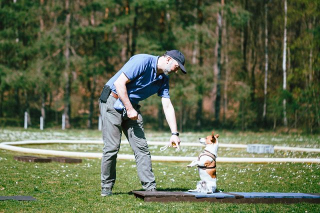 trickdog_-_bauch_beine_po_14_20170410_1079264664