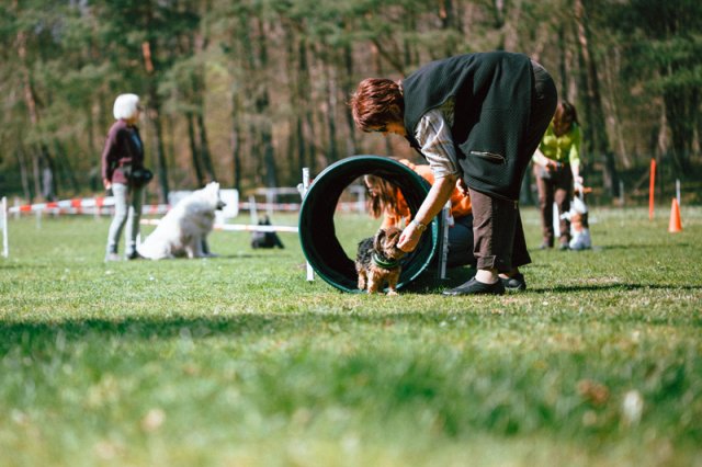 trickdog_-_bauch_beine_po_17_20170410_1251128061
