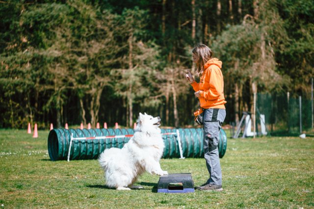 trickdog_-_bauch_beine_po_20_20170410_1780064318