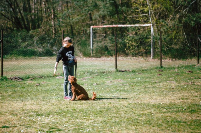 trickdog_-_bauch_beine_po_8_20170410_1874578489