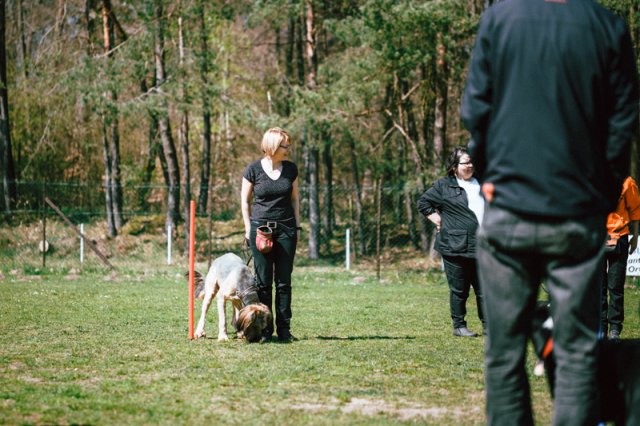 trickdog_-_bauch_beine_po_9_20170410_1697306721