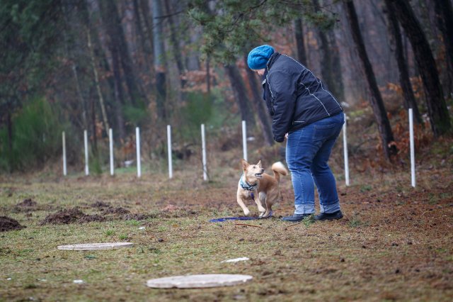 trickdog_workshop_17_20170213_1541869014