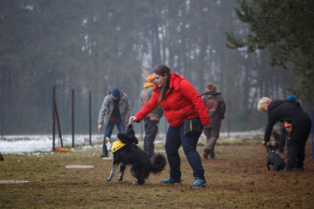trickdog_workshop_18_20170213_1896476247