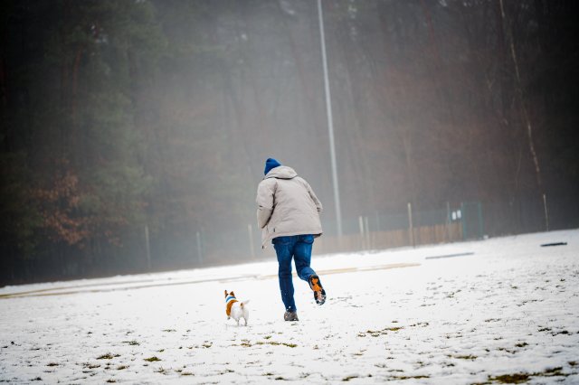 trickdog_workshop_19_20170213_1327733546