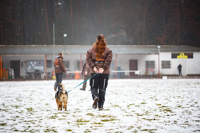 trickdog_workshop_20_20170213_2040617419