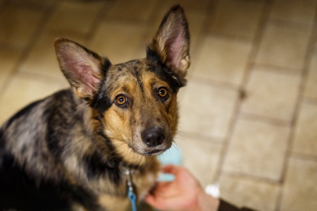 trickdog_workshop_2_20170213_1975068059