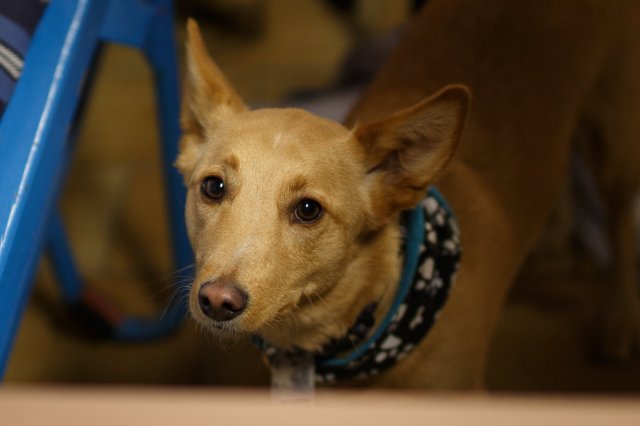 trickdog_workshop_5_20170213_2049811753