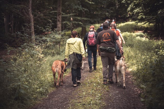 wanderung_pfingstmontag_reismuehle_12_20220613_1913029763