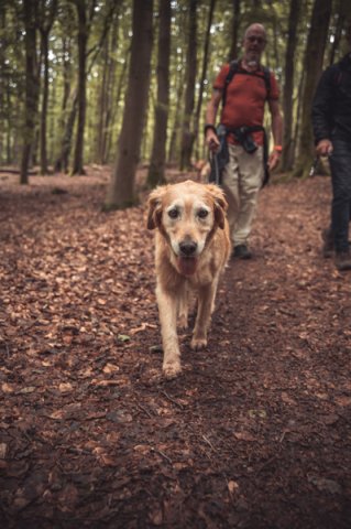 wanderung_pfingstmontag_reismuehle_13_20220613_1776111750