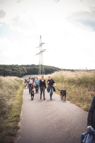 wanderung_pfingstmontag_reismuehle_14_20220613_1073800716