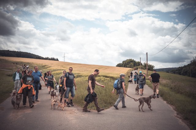 wanderung_pfingstmontag_reismuehle_16_20220613_1257813820