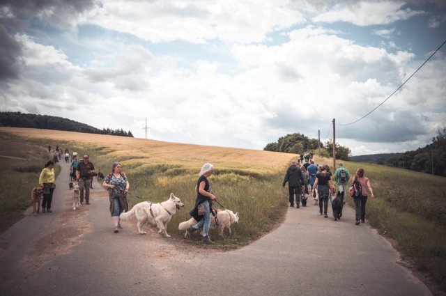 wanderung_pfingstmontag_reismuehle_18_20220613_1775894471