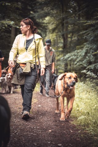 wanderung_pfingstmontag_reismuehle_4_20220613_1113307245