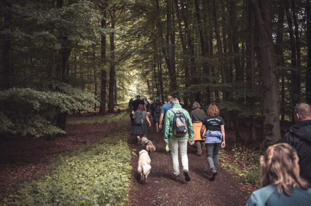 wanderung_pfingstmontag_reismuehle_5_20220613_1190964600