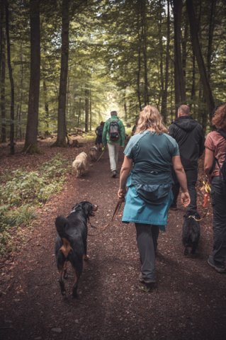 wanderung_pfingstmontag_reismuehle_6_20220613_2040358755