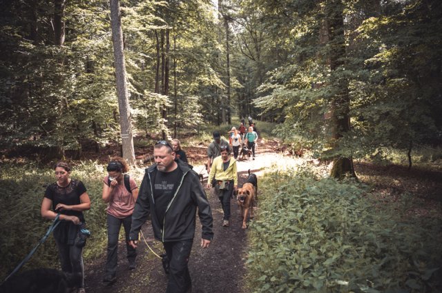 wanderung_pfingstmontag_reismuehle_8_20220613_1929959264