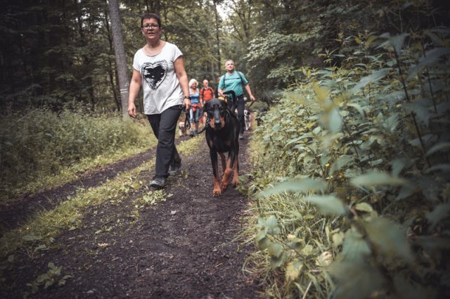 wanderung_pfingstmontag_reismuehle_9_20220613_2065006767