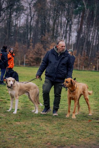 weihnachtsspaziergang_2024_alina_10_20241217_1391468886