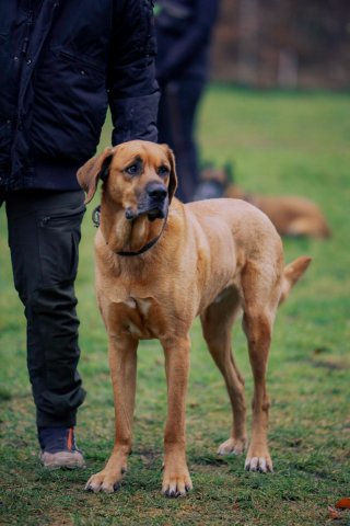 weihnachtsspaziergang_2024_alina_11_20241217_1250473851