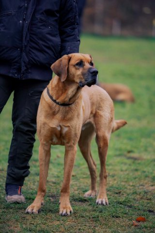 weihnachtsspaziergang_2024_alina_12_20241217_1436238404