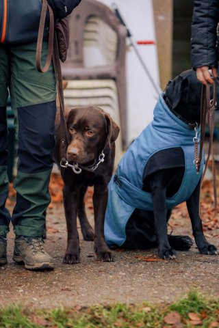 weihnachtsspaziergang_2024_alina_13_20241217_1072109146