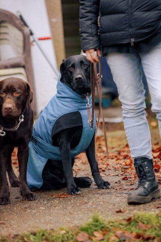 weihnachtsspaziergang_2024_alina_14_20241217_1499103503
