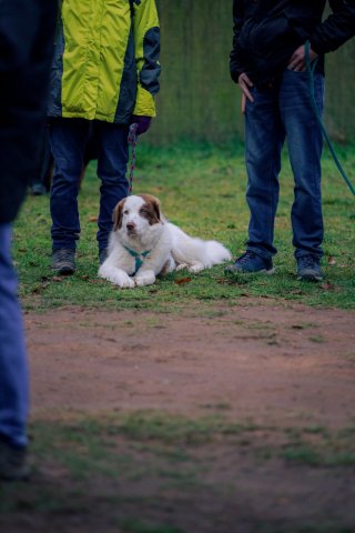 weihnachtsspaziergang_2024_alina_2_20241217_1366427161