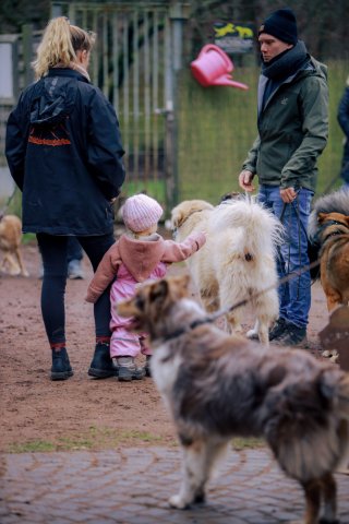 weihnachtsspaziergang_2024_alina_5_20241217_1893336813