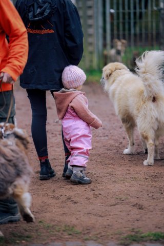 weihnachtsspaziergang_2024_alina_6_20241217_1844849157