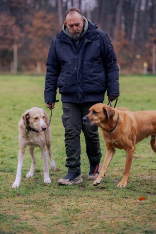 weihnachtsspaziergang_2024_alina_8_20241217_1039660738