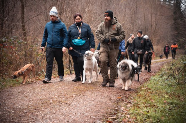 weihnachtsspaziergang_2024_marc_armbrust_14_20241217_1783123021