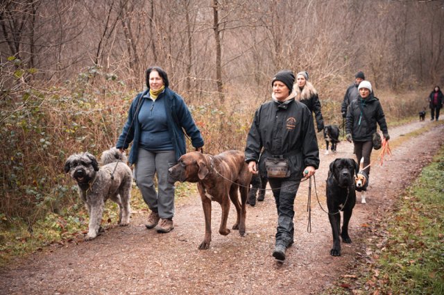 weihnachtsspaziergang_2024_marc_armbrust_16_20241217_1729739184