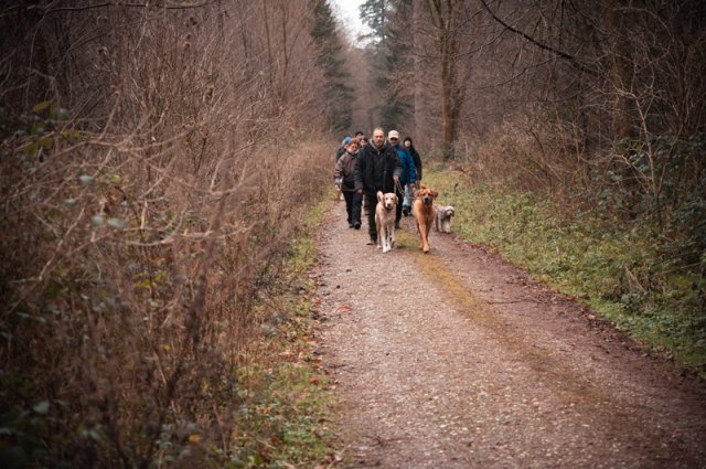 weihnachtsspaziergang_2024_marc_armbrust_1_20241217_1814337144